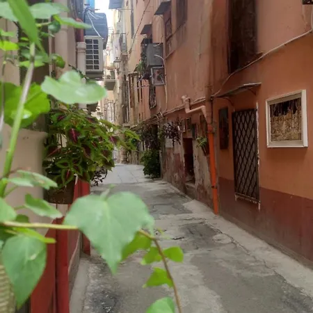 Appartement Mama5